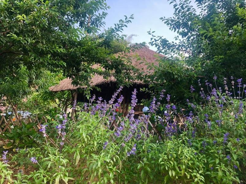 Savana Mộc Châu Acomodação com café da manhã Exterior foto