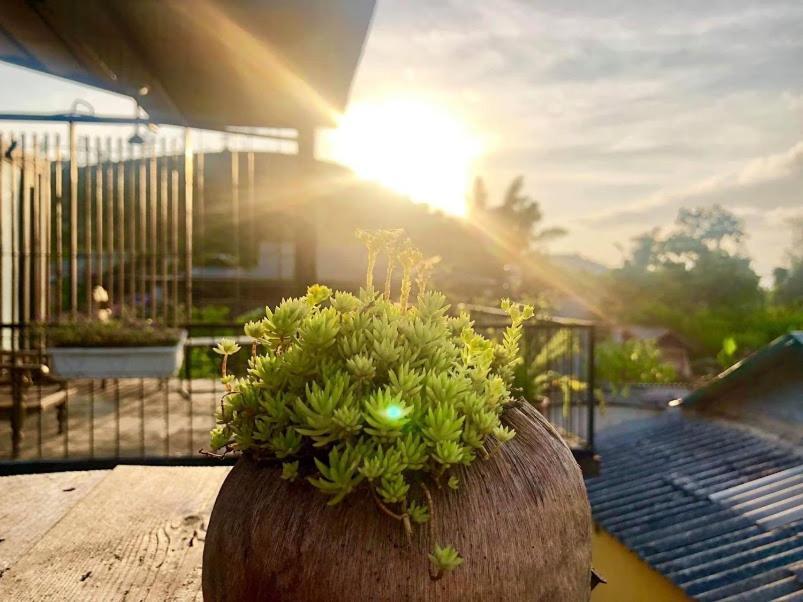 Savana Mộc Châu Acomodação com café da manhã Exterior foto
